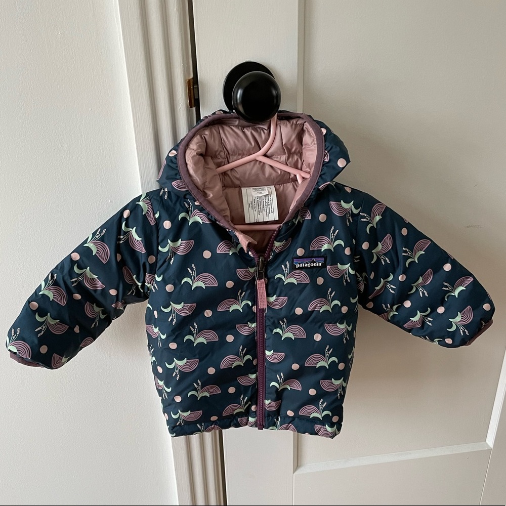 Patagonia Reversible Hooded Down Jacket